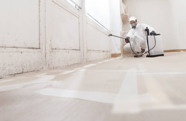 24/7 Emergency Mold Inspection experts in Marshall, TX