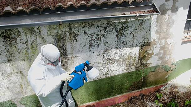 Top rated local Mold Remediation specialists in Marshall, TX